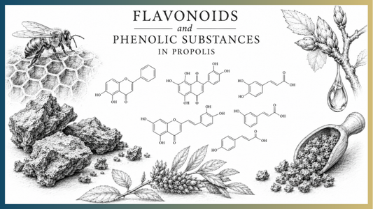 Flavonoids and Phenolic Substances in Propolis