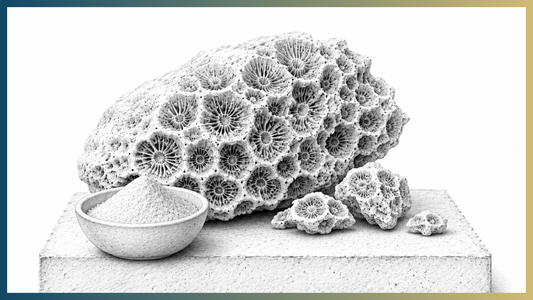 Okinawa – Ancient Wisdom, Modern Health